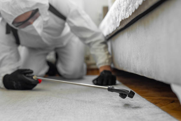 Professional Ant Control technician working in DeKalb County County, IL